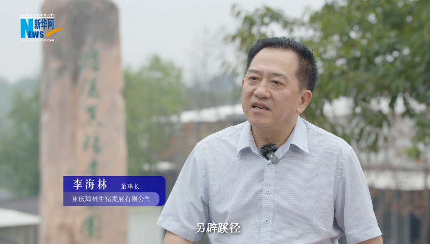 “奋进新时代 重庆新答卷”| 畜牧科技 “肥”了一头黑猪