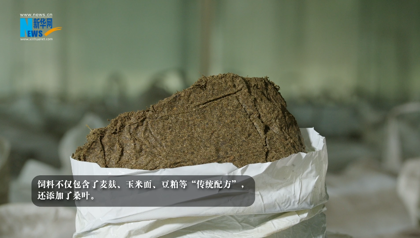 “奋进新时代 重庆新答卷”| 畜牧科技 “肥”了一头黑猪