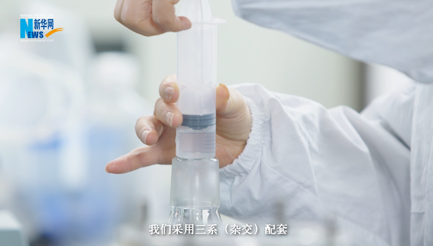 “奋进新时代 重庆新答卷”| 畜牧科技 “肥”了一头黑猪