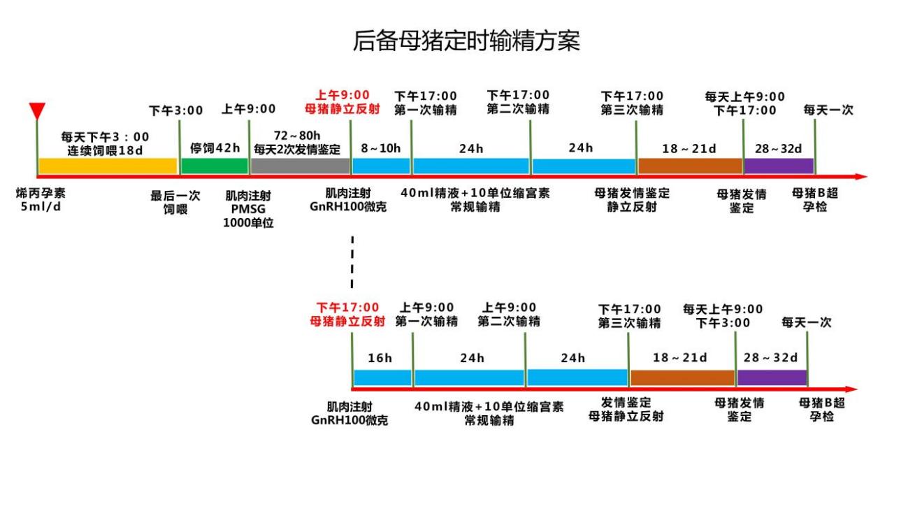 国家生猪技术创新中心在母猪高效繁育技术集成示范方面取得成效