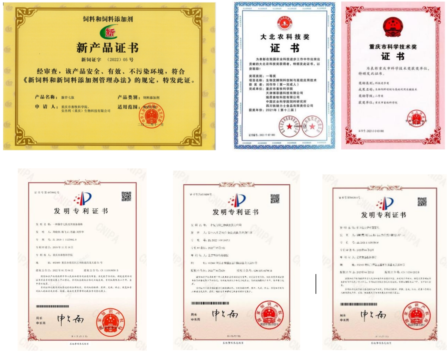生物饲料关键技术创新与产品创制
