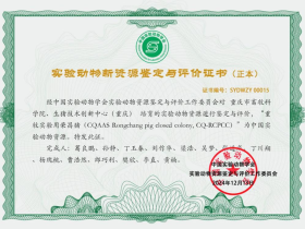 荣昌猪实验化创新开发与利用