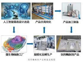 饲用酶制剂的创制及应用
