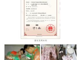 一种降低断奶仔猪腹泻的复合益生菌及其应用