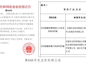 非洲猪瘟病毒抗原抗体检测试剂盒创制