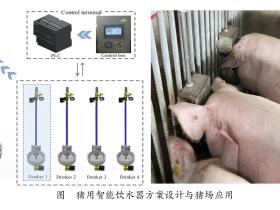 国家生猪技术创新中心养殖环境与工程研究院研发出一种猪用节水清洁型智能饮水器
