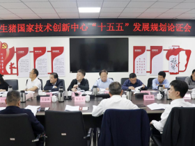 生猪国家技术创新中心 “十五五”发展规划论证会在荣昌召开