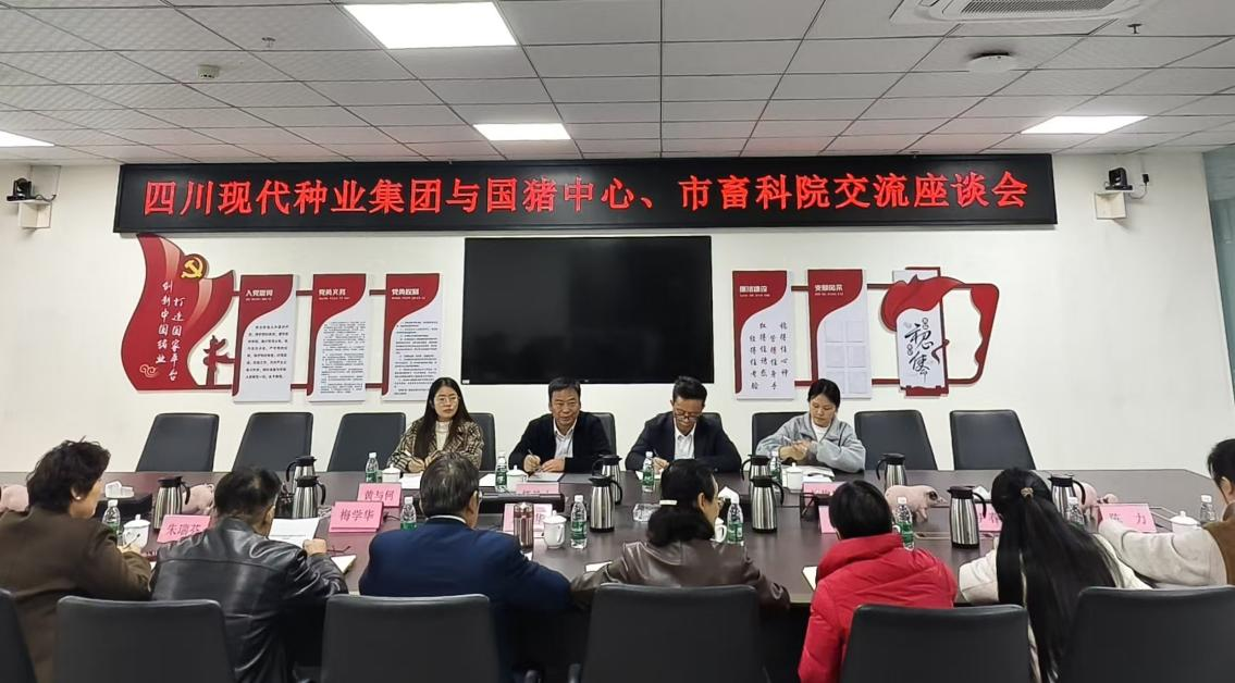 国猪中心与四川现代种业集团共商成渝地区本土黑猪高质量发展大计