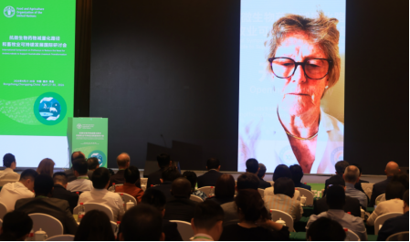 2026年FAO抗微生物药物减量化路径和畜牧业可持续发展国际研讨会盛大开幕