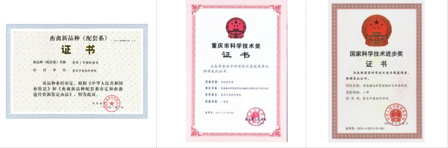 国家生猪技术创新中心及市畜科院多项成果亮相第二十三届中国畜牧业博览会