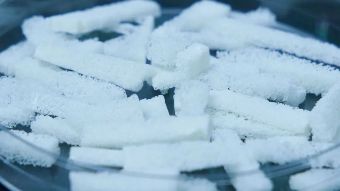 【“同一个健康”·荣昌实践】这头猪的身体里，藏着人类变美变健康的“秘方”